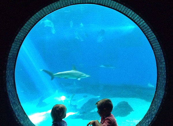 aquarium salt